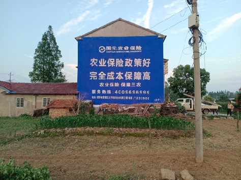  东兴墙体广告的优劣势你知道吗？