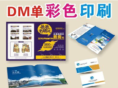  东兴单页印刷，色彩搭配简单。